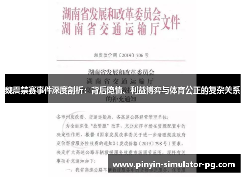 魏震禁赛事件深度剖析：背后隐情、利益博弈与体育公正的复杂关系