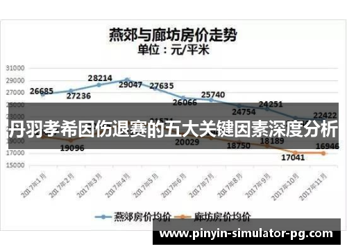 丹羽孝希因伤退赛的五大关键因素深度分析