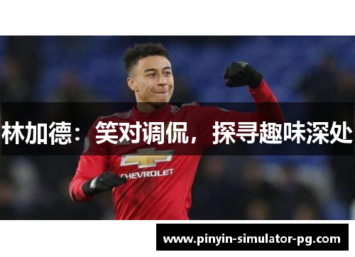 林加德：笑对调侃，探寻趣味深处