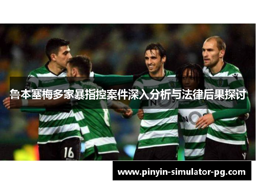 鲁本塞梅多家暴指控案件深入分析与法律后果探讨