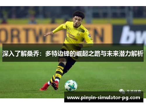 深入了解桑乔：多特边锋的崛起之路与未来潜力解析