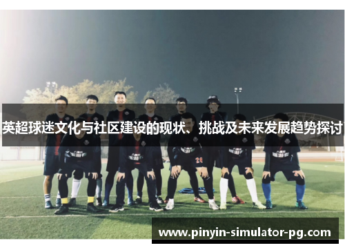 英超球迷文化与社区建设的现状、挑战及未来发展趋势探讨