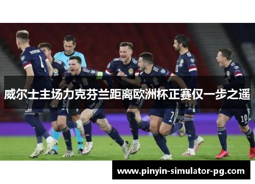 威尔士主场力克芬兰距离欧洲杯正赛仅一步之遥 威尔士主场力克芬兰距离欧洲杯正赛仅一步之遥